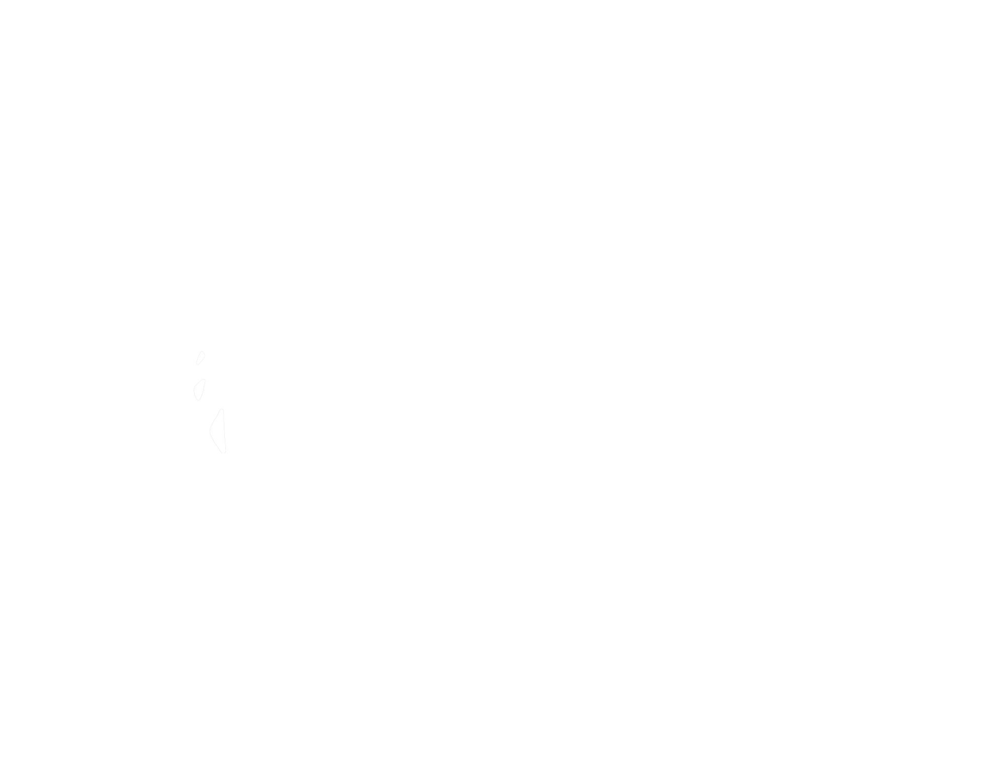 Logo Transparent Nova Phonk